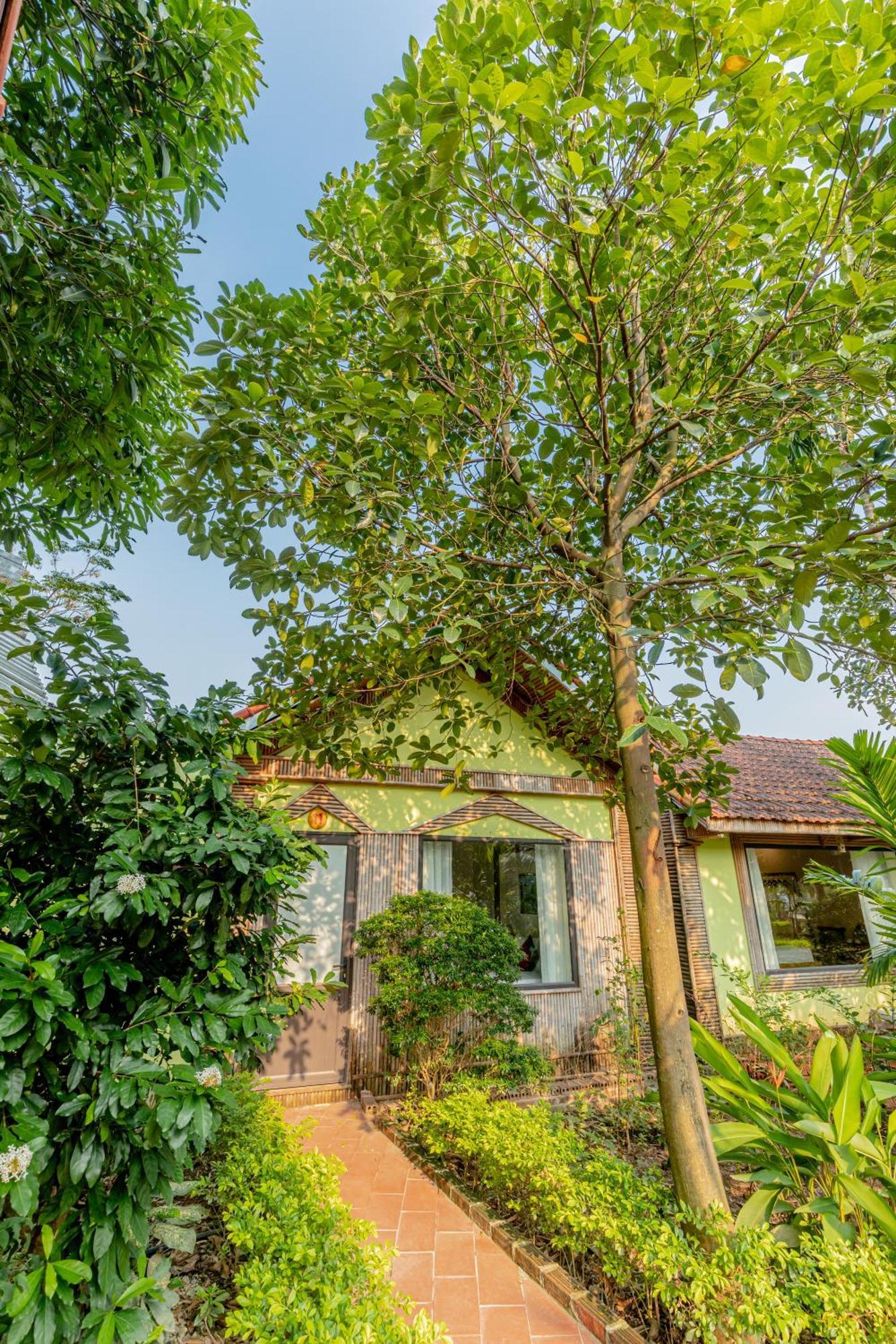 Tam Coc Green Garden Bungalow นิญบิ่ญ ภายนอก รูปภาพ
