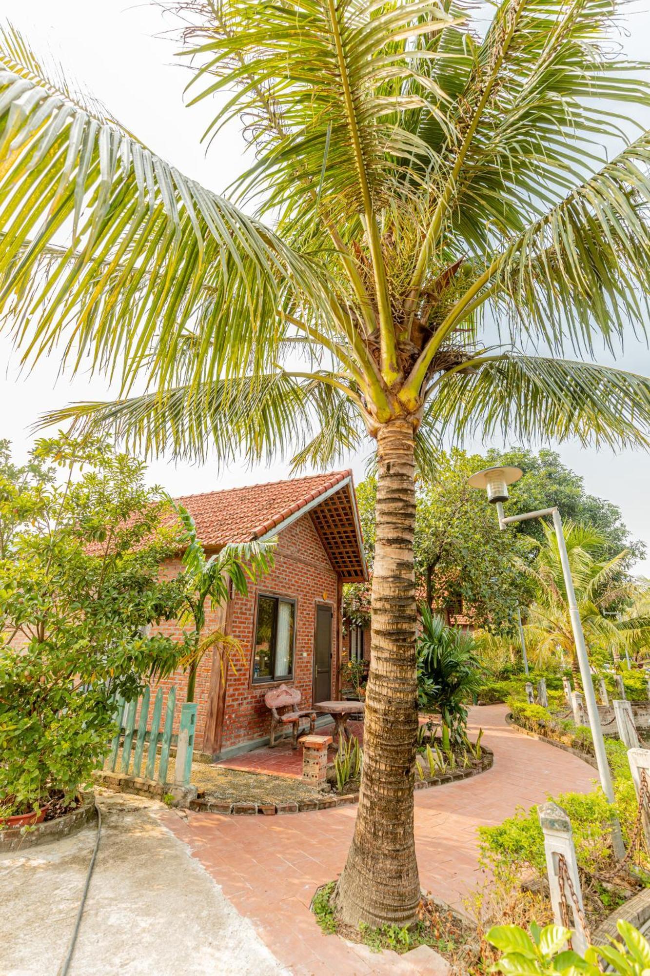 Tam Coc Green Garden Bungalow นิญบิ่ญ ภายนอก รูปภาพ