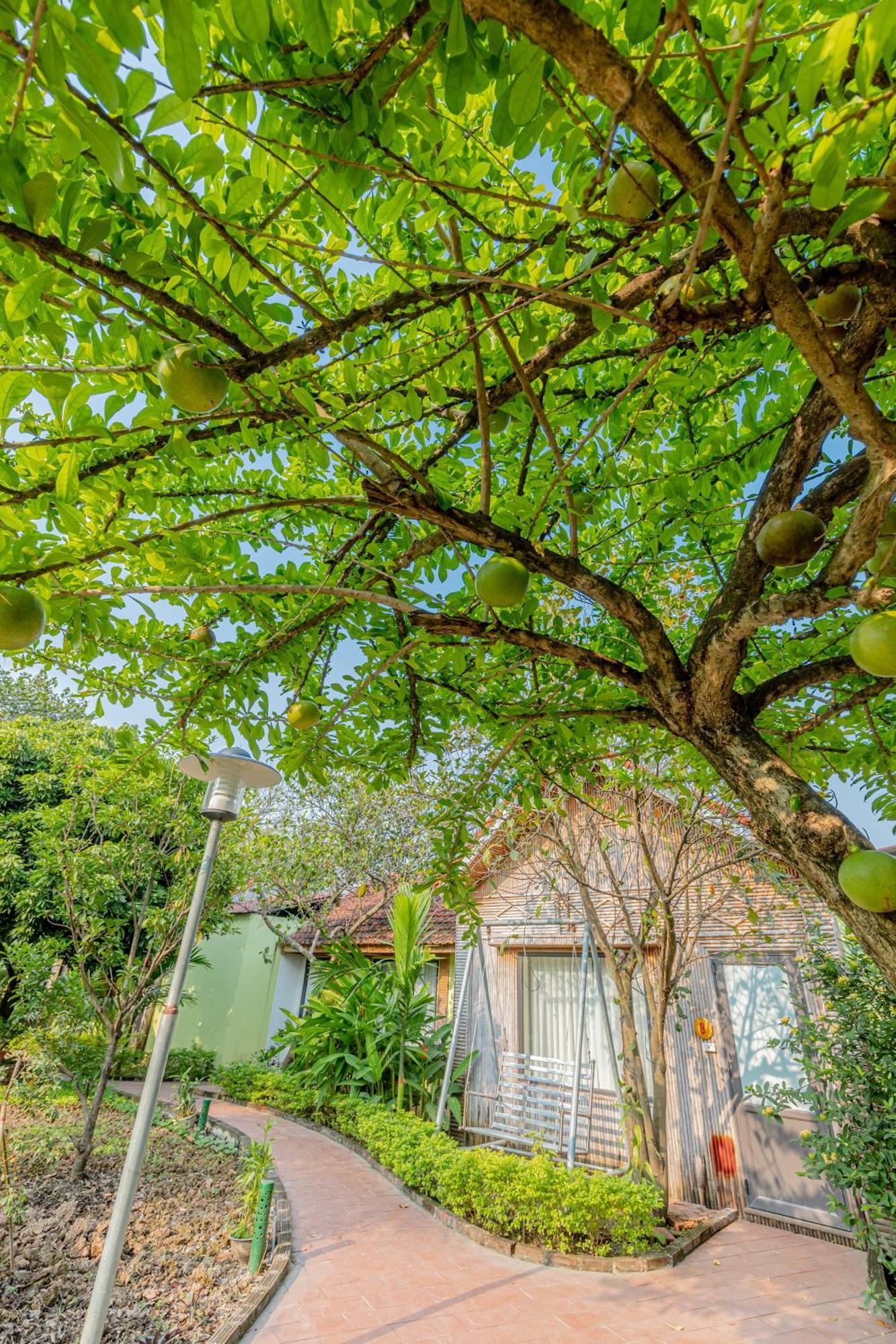Tam Coc Green Garden Bungalow นิญบิ่ญ ภายนอก รูปภาพ